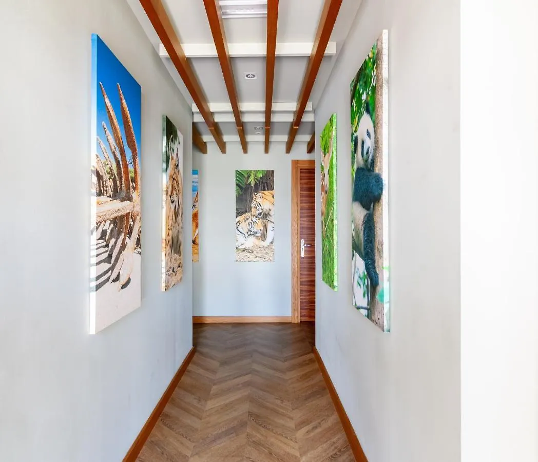 Apartman Apartamentos El Roqueo Conil de la Frontera Spanyolország